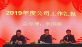 公司召開2019年度先進表彰大會